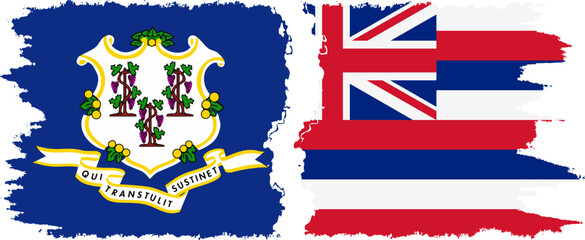 Hawaii and Connecticut states grunge brush flags connection vector