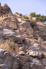 A rocky hillside with a few trees and some grass