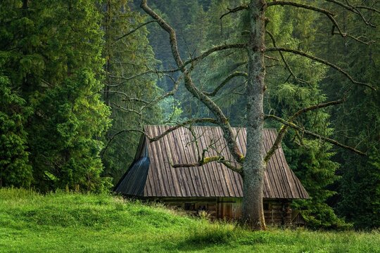 Szałasy, bac&oacute;wki w Tatrach w okolicach Kuźnic i Kalat&oacute;wek
