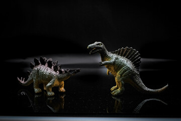 The Stegosaurus was a large and robust quadrupedal herbivorous dinosaur, with an arched profile....