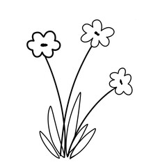 Wild flowers sketch illustration