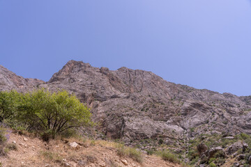 A mountain with a tree on it and a clear blue sky