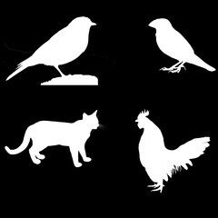 Animal Vector 