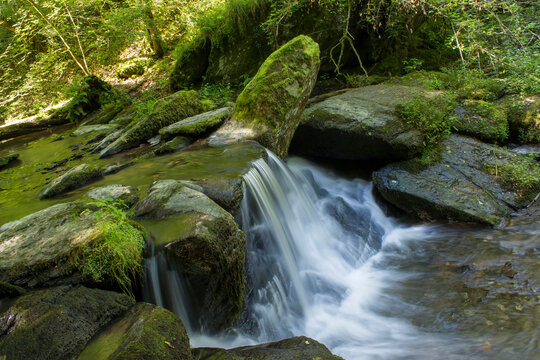Small waterfall on a rock in the forest