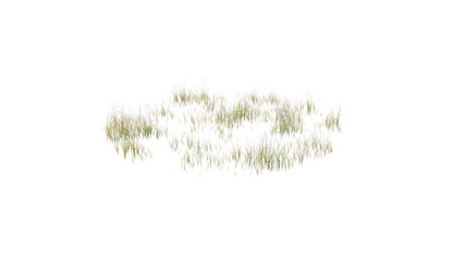 Round surface of Small Plant forest patch covered with flowers, green or dry grass and stone isolated on transparent background. Realistic natural element for design. Bright 3d