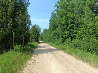 Road in forest in Siauliai county during sunny summer day. Oak and birch tree woodland. Sunny day with white clouds in blue sky. Bushes are growing in woods. Sandy road. Nature. Summer season. Miskas.