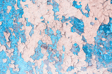 Blue and pink peeling paint on the wall, old concrete wall with cracked flaking paint, closeup of peeling paint