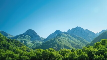 Fototapeta premium Green leafed trees resembling mountains under a clear blue sky