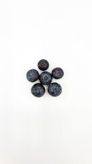 ブルーベリー／blueberry／블루베리