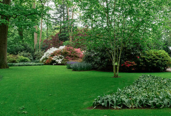 Park Garden Landscape Design tree Lawn Holland Netherlands Keukenhof
