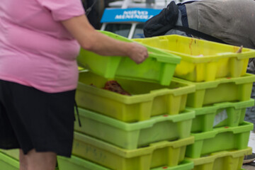 containers with catch of sea fish, ocean delicacies. Industrial catch of fresh fish. Fish auction for wholesalers and restaurants.