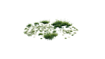 Fototapeta premium Round surface of Small Plant forest patch covered with flowers, green or dry grass and stone isolated on transparent background. Realistic natural element for design. Bright 3d