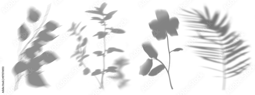 Poster tree branch shadow effect png on transparent background