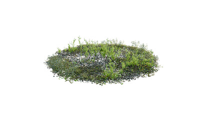 Round surface of Small Plant forest patch covered with flowers, green or dry grass and stone isolated on transparent background. Realistic natural element for design. Bright 3d