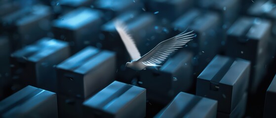 An innovative postal system where winged