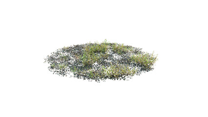 Round surface of Small Plant forest patch covered with flowers, green or dry grass and stone isolated on transparent background. Realistic natural element for design. Bright 3d