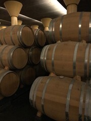 barrels of wine