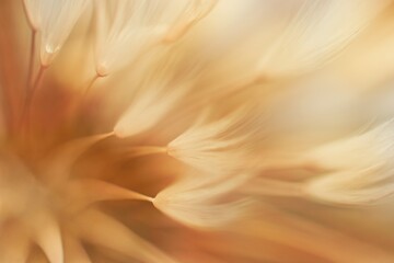 Autumnal background. Soft abstract gradient background, faded plant.