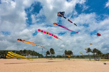 Colorful kites on the beach in Ba Ria - Vung Tau, Vietnam
