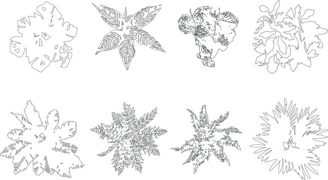 High detail architectural vector illustration of grass and fern, realistic drawing, sketch