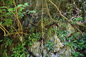 The Fairy Cave and Wind Cave of Bau, Sarawak, Borneo, Malaysia