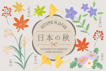 日本の秋の草花のイラストセット