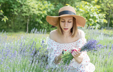 Young  woman picking lavender flowers