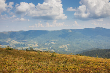 Obraz premium Vibrant mountain landscape with lush meadows under blue skies, a view of natures tranquility