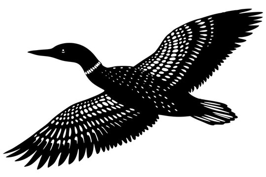 recommend clip art: flying loon black silhouette vector illustration