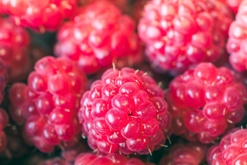 Closeup of vibrant raspberries, a colorful and antioxidantrich fruit, perfect for a healthy snack
