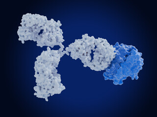 Automimmune diseases: Therapeutic antibody blocks the tumor necrosis factor  alfa (TNF-α)