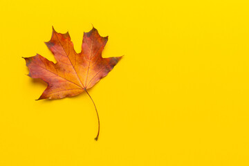 Autumn composition. Pattern made of dried leaves and other design accessories on table. Flat lay, top view