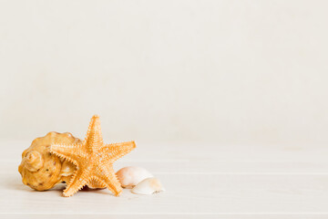 Summer time concept with sea shells or starfish on a table background with copy space for text