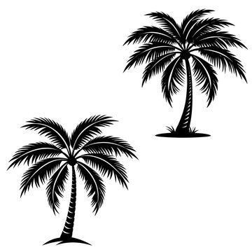 black palm trees on white background clip art preview