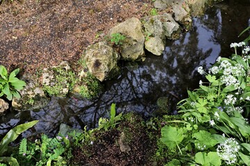 Forest creek with sky and trees reflection in it