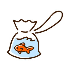 袋に入れられたお祭りですくった金魚
Goldfish scooped from a Japanese festival stall in a bag