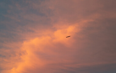夕焼けに染まる空