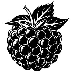 illustration of a blackberry