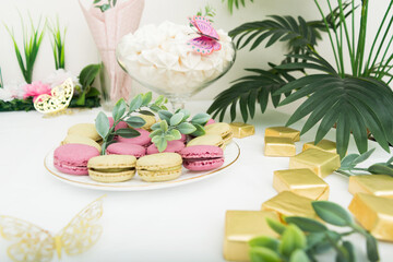 Macaroons on white plate on table Celebration concept Birthday with plants