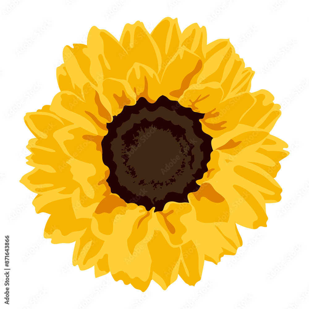 Wall mural Yellow flower png sticker, sunflower spring illustration on transparent background