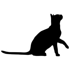 Realistic style black cat with bright eyes