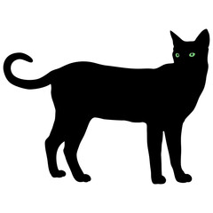 Realistic style black cat with bright eyes