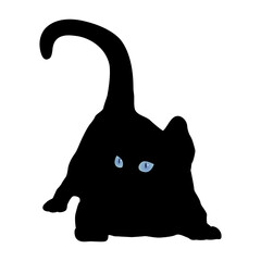 Realistic style black cat with bright eyes