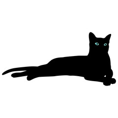 Realistic style black cat with bright eyes