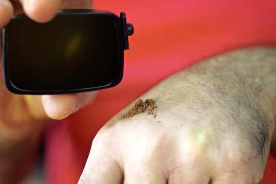 Cropped hand of man holding german snuff tobacco. 