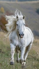 Obraz premium High-Resolution AI-Generated Wallpaper of a Majestic White Stallion Galloping Freely Across a Vast Green Pasture with Mane Flowing Like a Flag of Freedom, Capturing the Essence of Elegance and Liberty