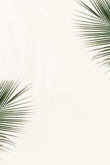 Obraz premium Fresh palm leaves background png