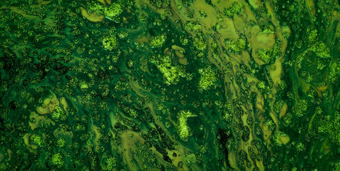 Eclectic and Expressive Painted Dreamscape Infused with an Array of Colors and Abstract Forms