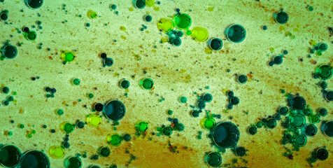 Eclectic and Expressive Painted Dreamscape Infused with an Array of Colors and Abstract Forms