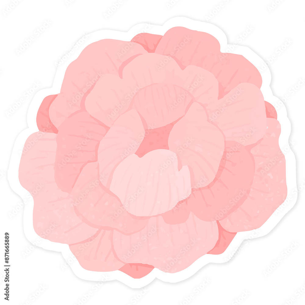 Wall mural Pink hydrangea flower sticker transparent png